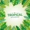 Tropical summer paper background