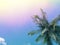 Tropical summer sky with palm tree. Tropical island rainbow toned photo.