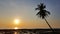 Tropical Sundown with Palm silhouette