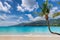 Tropical sunny beach and coconut palms Paradise island