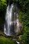 Tropical sunny landscape Bali - fresh summer wild powerful waterfall in jungle with lush green foliage, rainforest, wet moss.