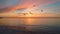 Tropical sunrise on the beach. Cloudscape and birds over the sea.