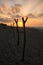 Tropical Sunrise over Fishing Net Drying Posts on Pacific Ocean