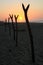 Tropical Sunrise over Fishing Net Drying Posts on Pacific Ocean