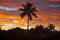Tropical Sunset Oahu