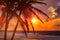 Tropical sunset scene with palms