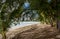 Tropical Takatimu Beach, Rarotonga, Cook Islands