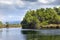 Tropical thickets mangrove forest on the Black river. Jamaica.