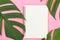 Tropical top view summer botanical concept still life white frame notebook with monstera liana, vine, palm leaves pink background