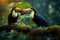 Tropical Toucans in Forest Wildlife Scene Generative AI