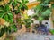 Tropical town flowers house decoration garden in city