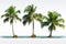 Tropical tranquility Coconut trees isolated on a serene white backdrop