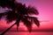 Tropical tranquility Palm tree silhouette on a serene pink sky