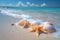 Tropical tranquility Starfishes, seashells on pastel beach, crystal clear waters