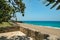 Tropical tree at the beach, summer caribbean coastline panoramic view