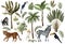 Tropical tree elements such as palm, banana and jungle animals isolated. Vector.