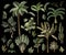 Tropical tree elements such as palm, banana, monstera and other isolated. Vector.
