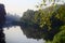 Tropical trees along Mahaweli river