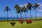 Tropical trees and Caribbean sea