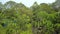 Tropical trees drone shot: cyan hut daylight
