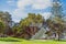 Tropical trees and high-rise buildings in Surfers Paradise near