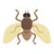 Tropical tsetse fly icon cartoon vector. Nature tik