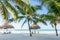 Tropical vacation view with palm trees at exotic sandy beach on Caribbean sea