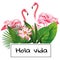 Tropical vector composition hola vida slogan pink flamingo flowers leaves white background