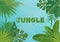 Tropical vector template banner Illustration. Exotic Plants on bblue sky background, rainforest design with tropic