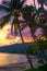 Tropical vertical landscape. Tall palm trees on the seashore in the evening at sunset. Travel and tourism