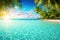 Tropical view with palm trees and beautiful turquoise sea and beach with white sand, tropical vacation landscape. Generative Ai