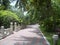 Tropical walkway