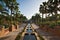 Tropical walkway with water