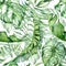 Tropical watercolor seamless pattern with green leaves illustration