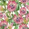 Tropical watercolor seamless pattern of protea flowers. Exotic pink bouquet, twigs and leaves