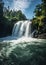 A tropical waterfall cascades with the untamed beauty of water.