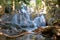 Tropical waterfall in the indonesian jungle