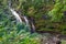 Tropical Waterfall Maui