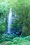 Tropical waterfall of St. Rose on La Reunion island