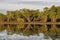 Tropical wetland with paperbark Melaleuca reflected in water, Darwin, Australia