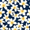 Tropical white frangipani plumeria flower seamless pattern