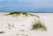 Tropical white sand beach of Florida, Alabama Gulf Coast