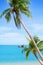 Tropical white sand beach landscape, turquoise sea water, blue sky, clouds, green palm tree leaves, boat, sunny day, nobody, relax