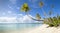 Tropical white sand beach panoramic view