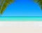 Tropical white sandy palm beach and clear ocean water background