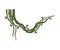 Tropical Winding Liana Branches, Jungle Plant Decorative Element, Rainforest Flora Vector Illustration