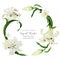 Tropical wreath with white lily and freesia