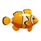 Tropical yellow fish, coral reef exotic pet animal. Aquarium sea life, vector illustartion cartoon style