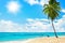 Tropical yellow sand beach landscape, turquoise sea water, blue sky,  bright sun, white clouds, palm tree, boat, summer holidays