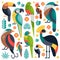 TropicalBirds